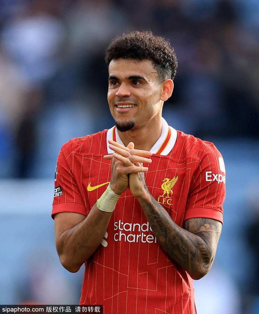 篇文章写 篇文章写